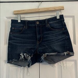 American Eagle Outfitters Blue Denim Jean Shorts